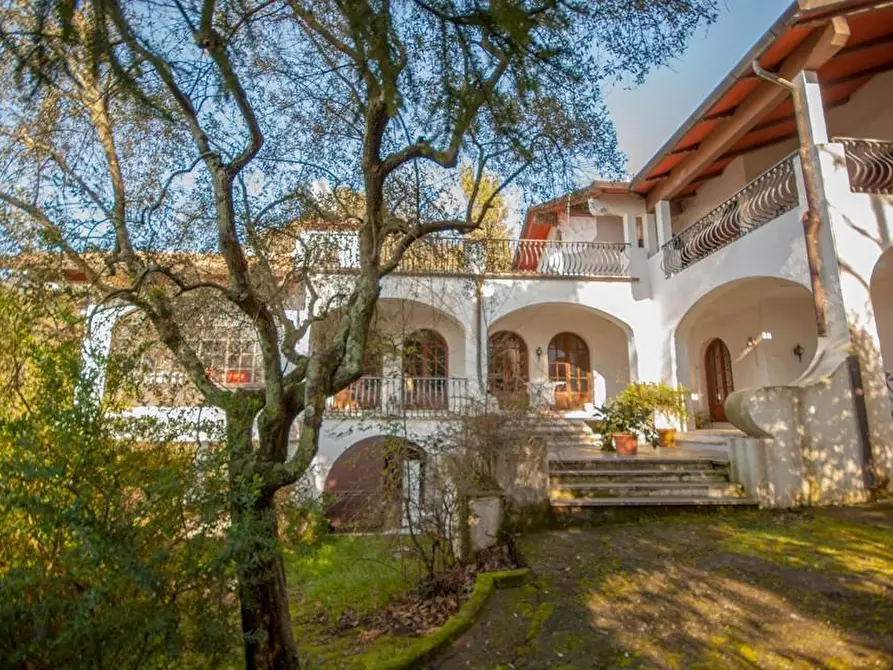Immagine 3 di Villa in vendita  a Massa