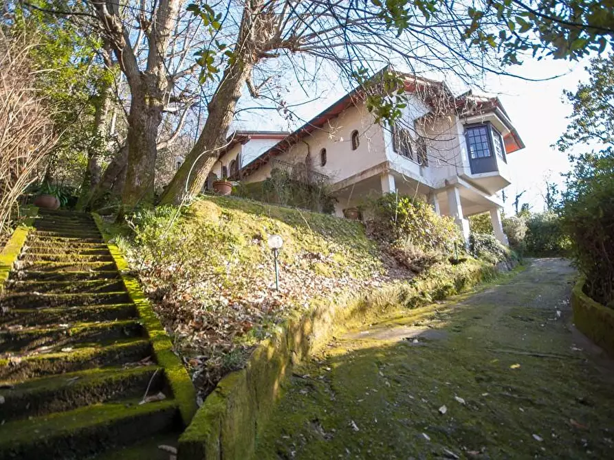 Immagine 46 di Villa in vendita  a Massa