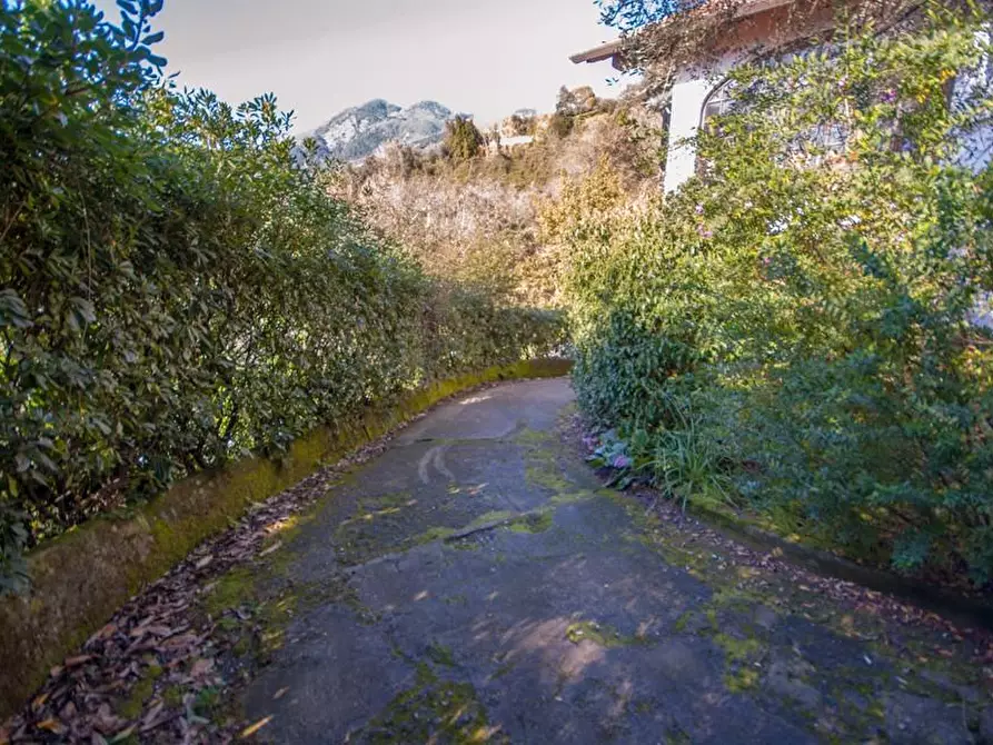 Immagine 6 di Villa in vendita  a Massa