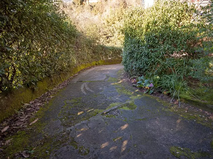 Immagine 45 di Villa in vendita  a Massa