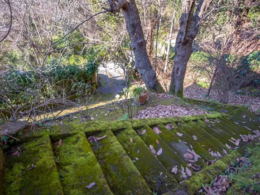 Immagine 10 di Villa in vendita  a Massa