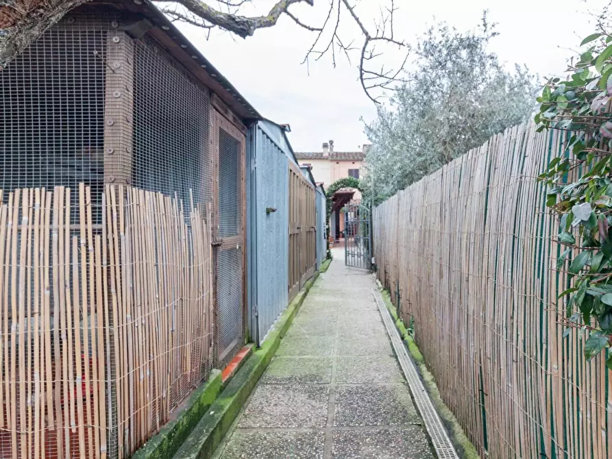 Immagine 27 di Terratetto in vendita  a Cascina