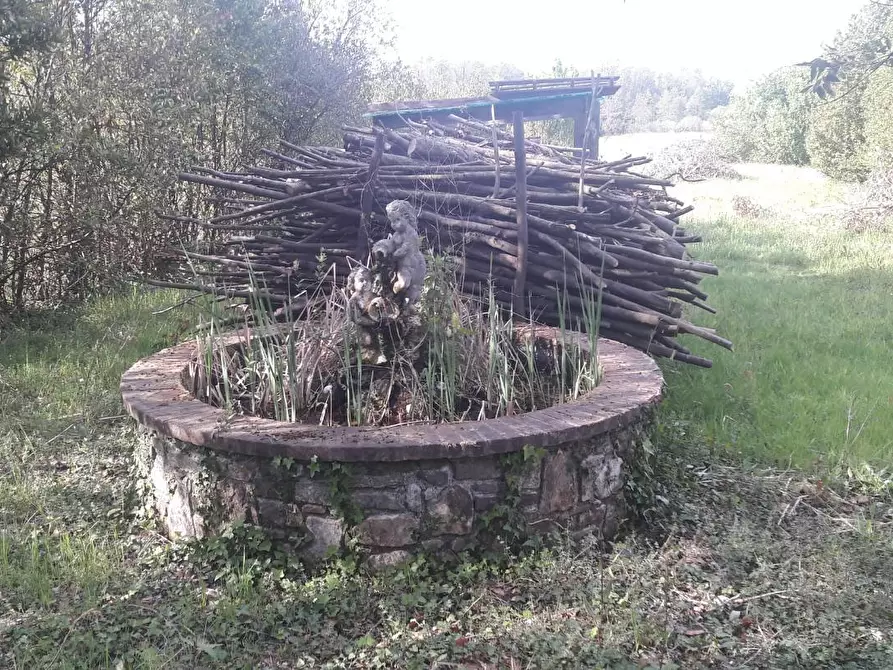 Immagine 33 di Terratetto in vendita  a Capannori