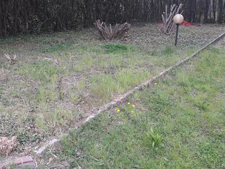 Immagine 25 di Terratetto in vendita  a Capannori