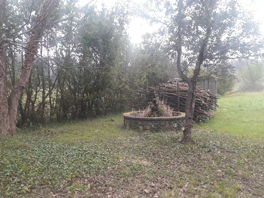 Immagine 21 di Terratetto in vendita  a Capannori