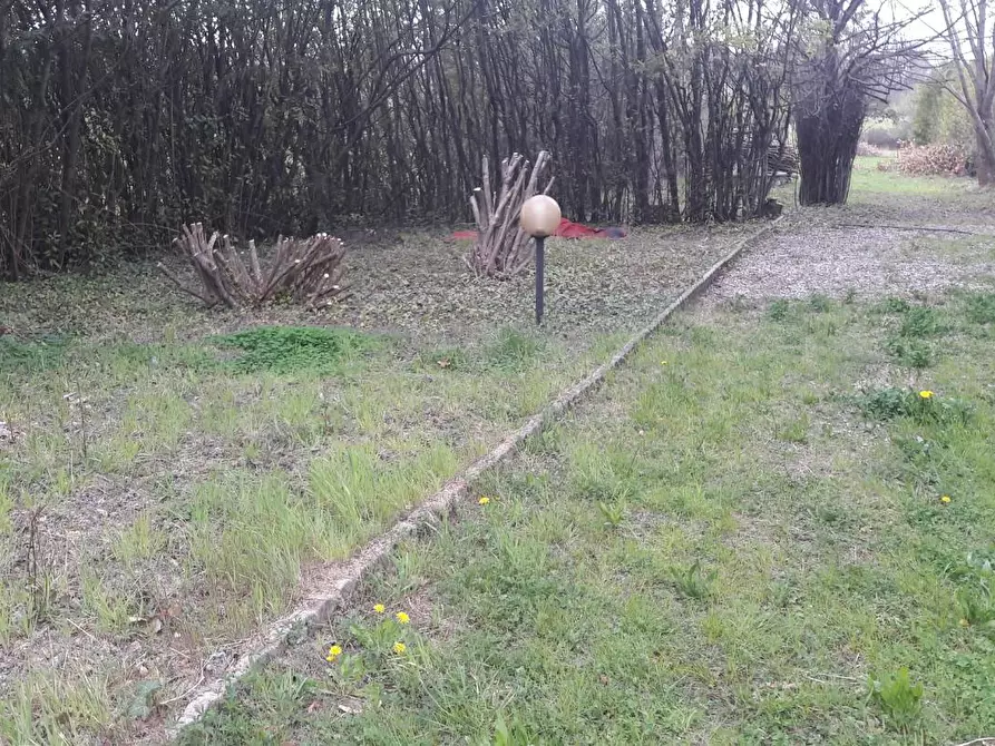 Immagine 24 di Terratetto in vendita  a Capannori