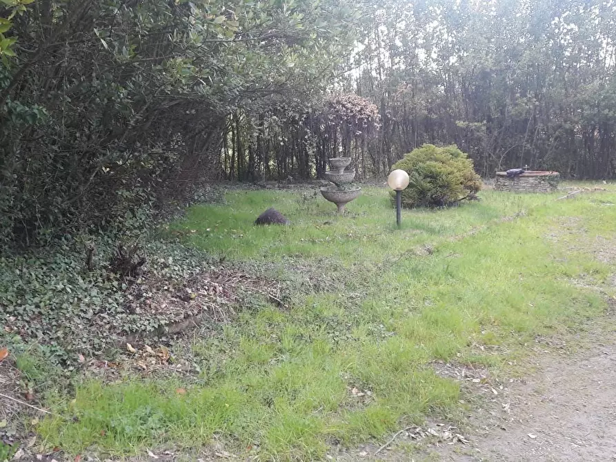 Immagine 26 di Terratetto in vendita  a Capannori