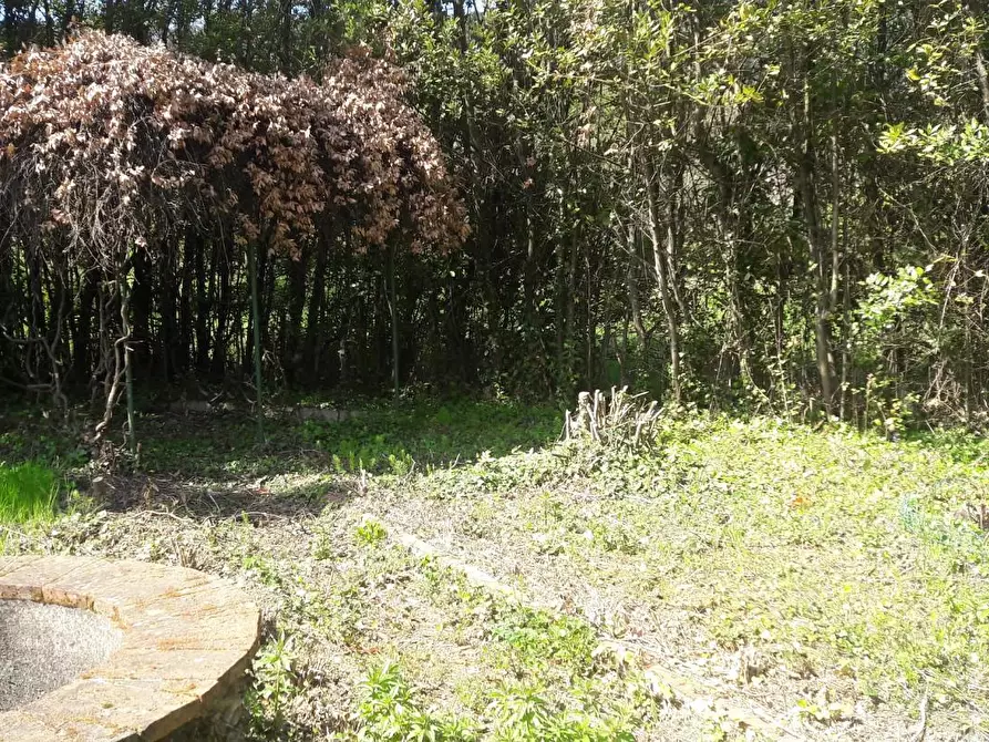 Immagine 34 di Terratetto in vendita  a Capannori