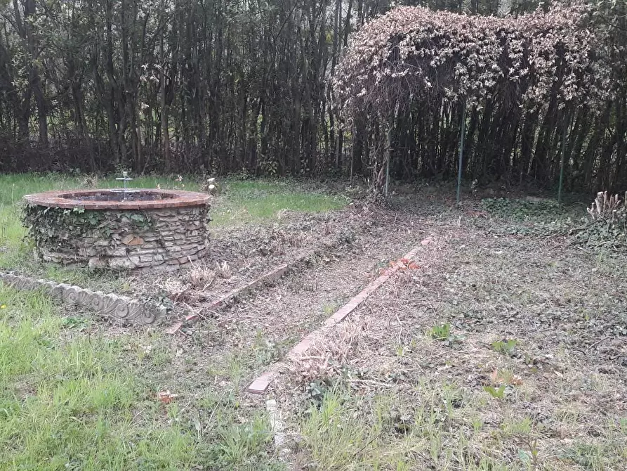 Immagine 23 di Terratetto in vendita  a Capannori