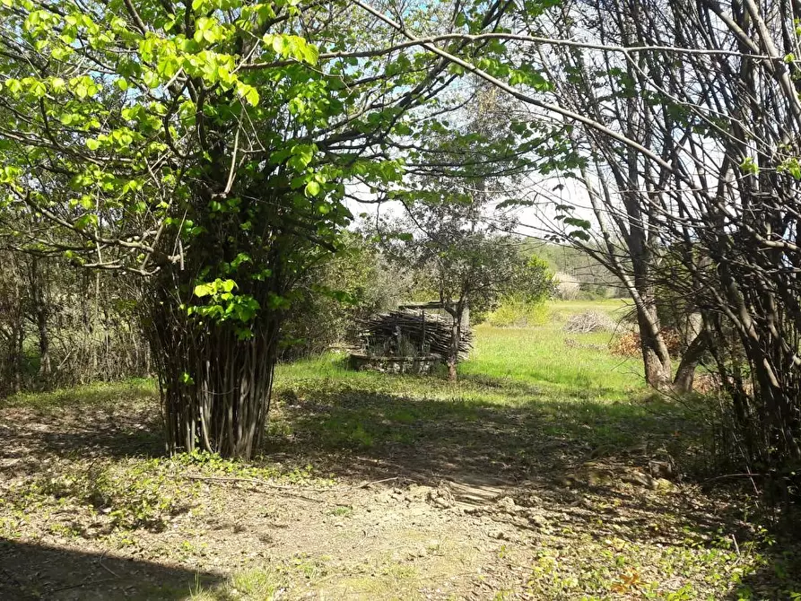 Immagine 37 di Terratetto in vendita  a Capannori
