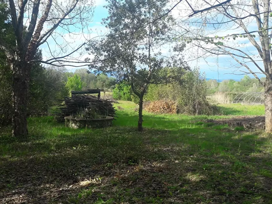 Immagine 32 di Terratetto in vendita  a Capannori