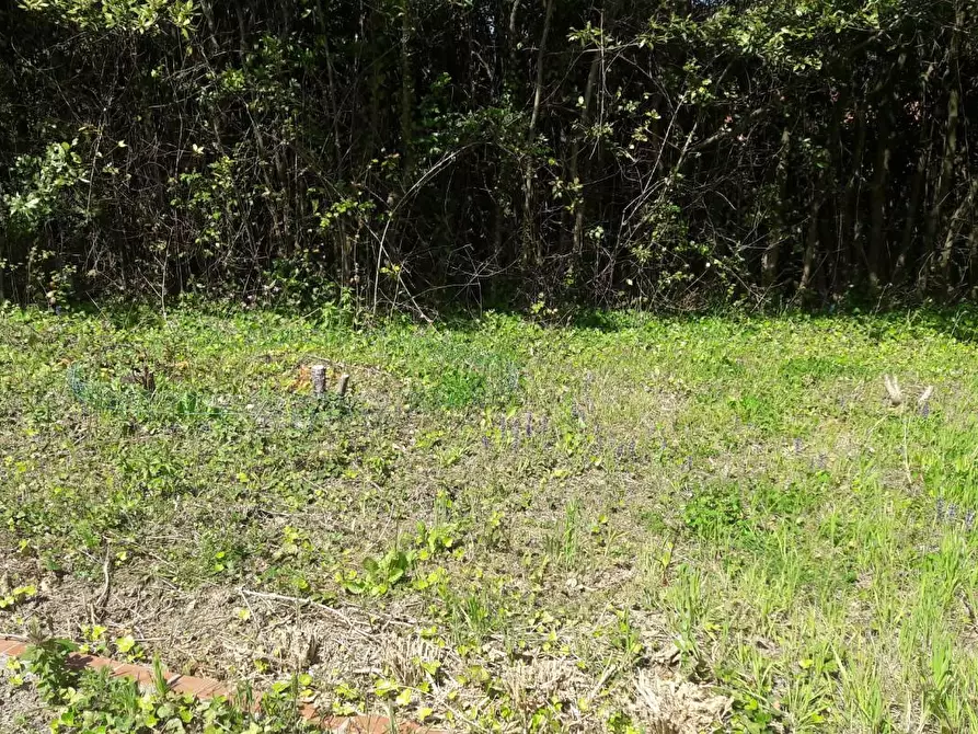 Immagine 35 di Terratetto in vendita  a Capannori