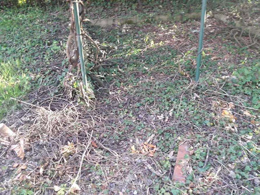 Immagine 28 di Terratetto in vendita  a Capannori