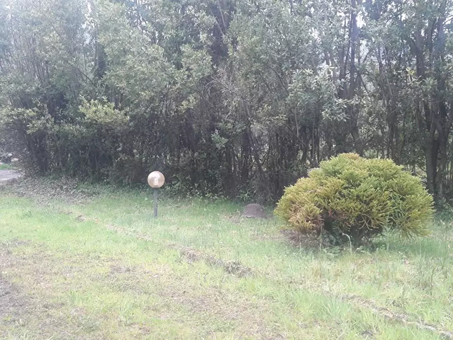 Immagine 20 di Terratetto in vendita  a Capannori