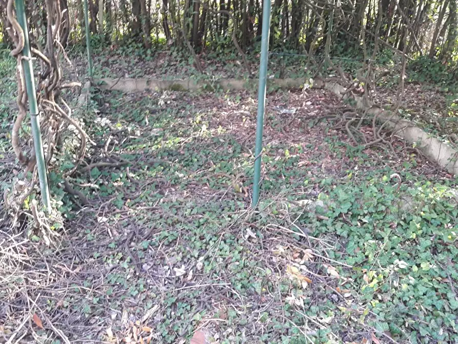 Immagine 27 di Terratetto in vendita  a Capannori