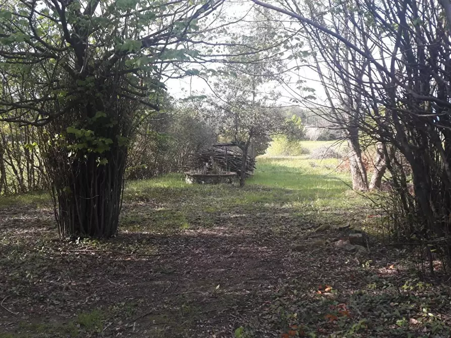 Immagine 31 di Terratetto in vendita  a Capannori