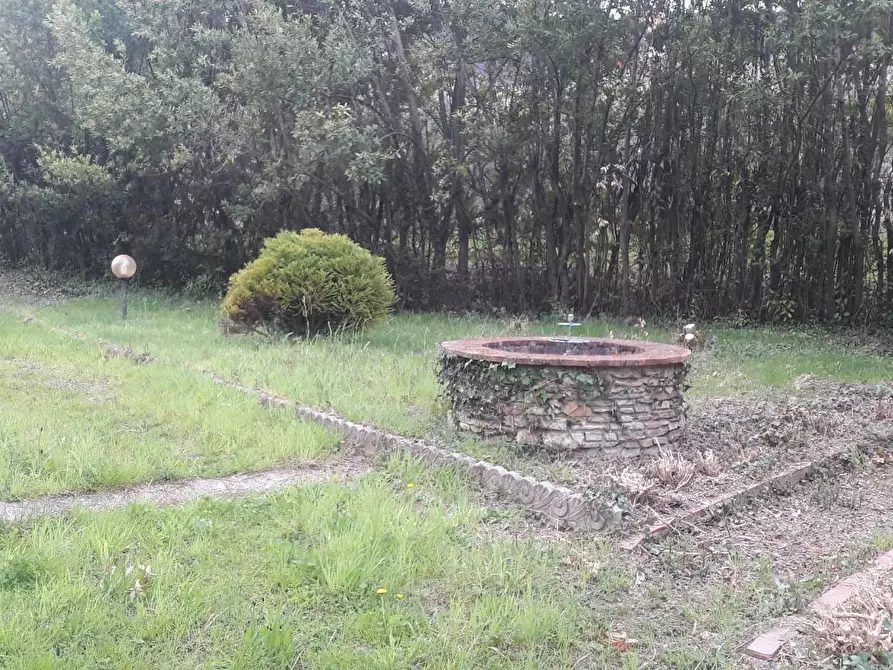 Immagine 22 di Terratetto in vendita  a Capannori