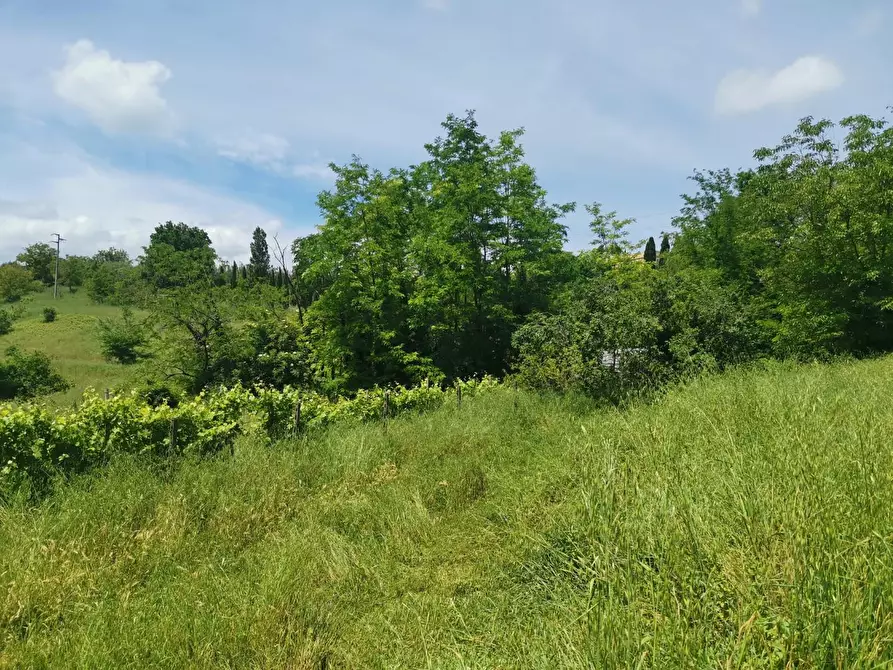 Immagine 9 di Terreno agricolo in vendita  a Colle Di Val D'elsa
