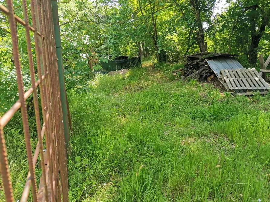 Immagine 14 di Terreno agricolo in vendita  a Colle Di Val D'elsa