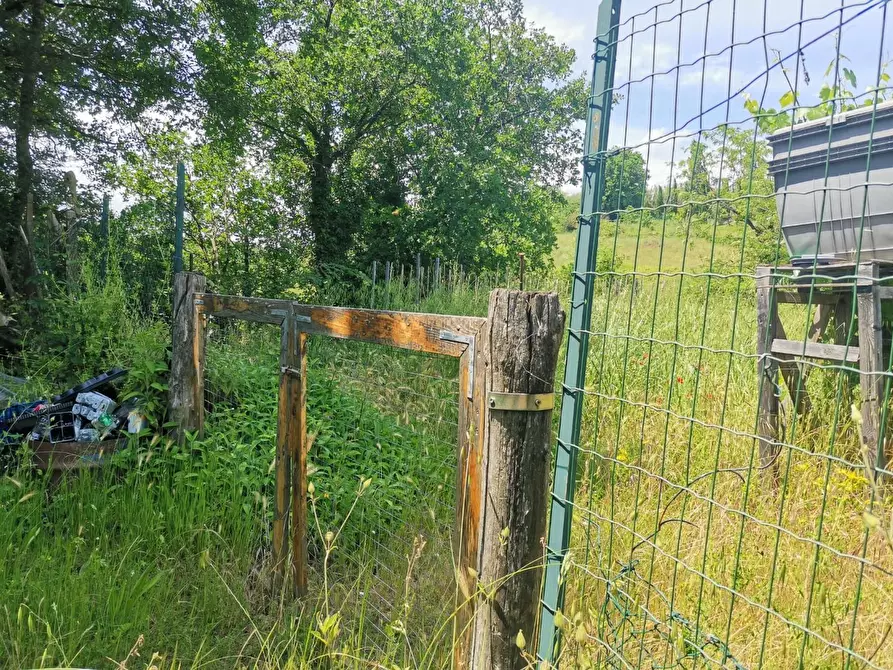 Immagine 16 di Terreno agricolo in vendita  a Colle Di Val D'elsa