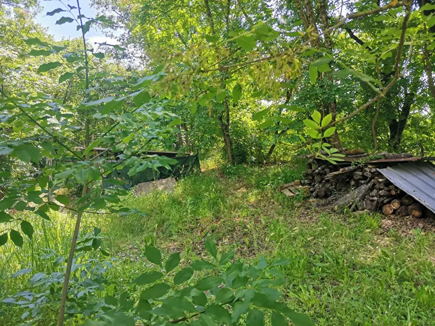 Immagine 17 di Terreno agricolo in vendita  a Colle Di Val D'elsa