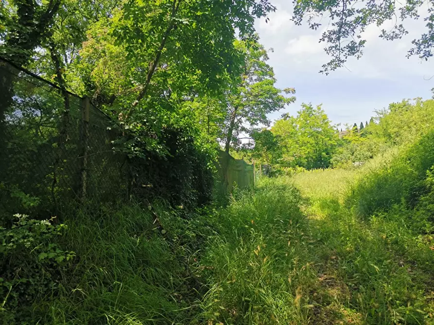 Immagine 23 di Terreno agricolo in vendita  a Colle Di Val D'elsa