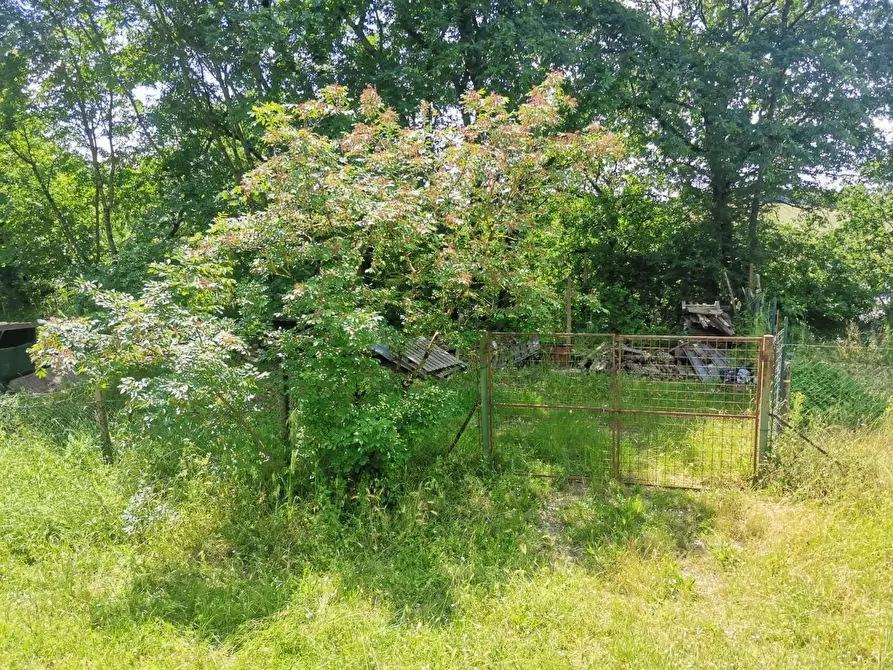 Immagine 10 di Terreno agricolo in vendita  a Colle Di Val D'elsa