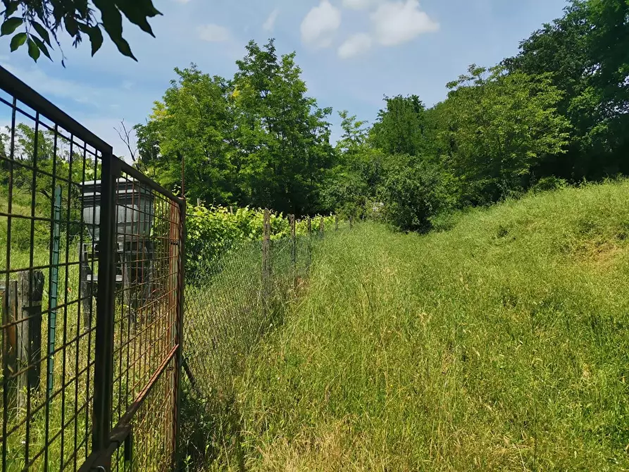 Immagine 20 di Terreno agricolo in vendita  a Colle Di Val D'elsa