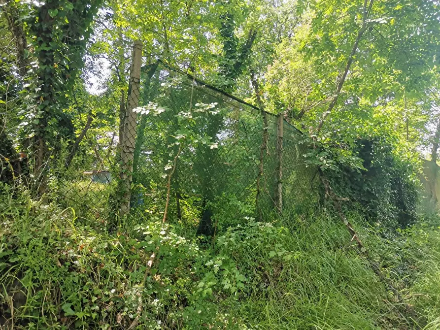 Immagine 21 di Terreno agricolo in vendita  a Colle Di Val D'elsa