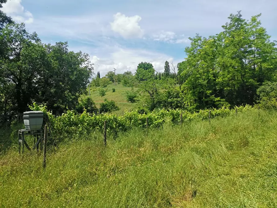 Immagine 3 di Terreno agricolo in vendita  a Colle Di Val D'elsa