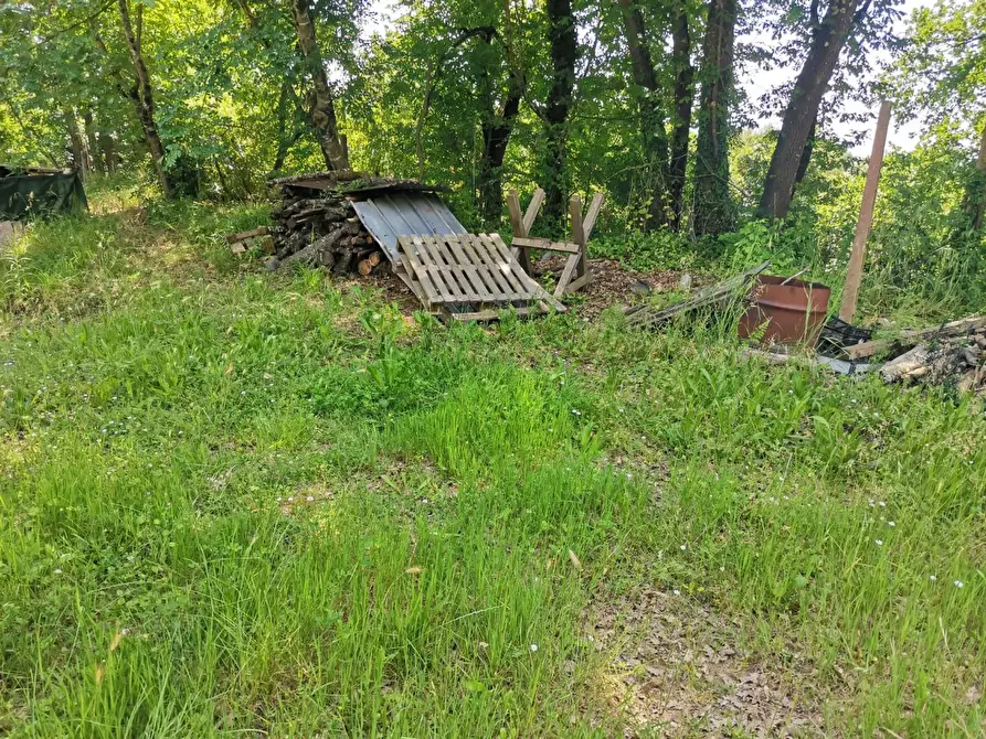 Immagine 15 di Terreno agricolo in vendita  a Colle Di Val D'elsa