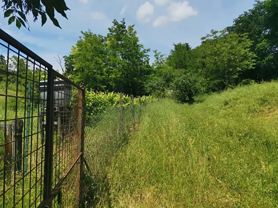 Immagine 19 di Terreno agricolo in vendita  a Colle Di Val D'elsa