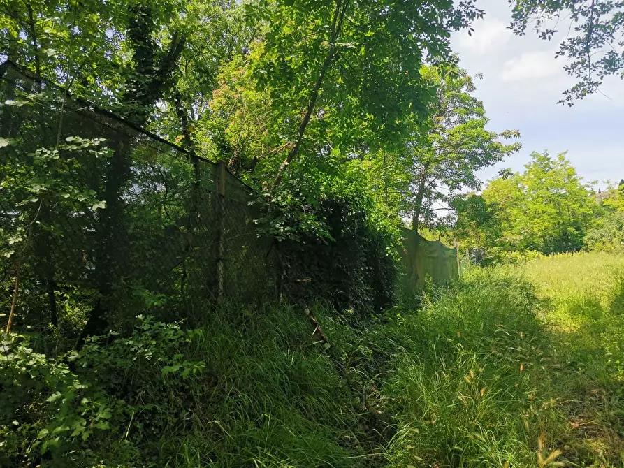 Immagine 22 di Terreno agricolo in vendita  a Colle Di Val D'elsa