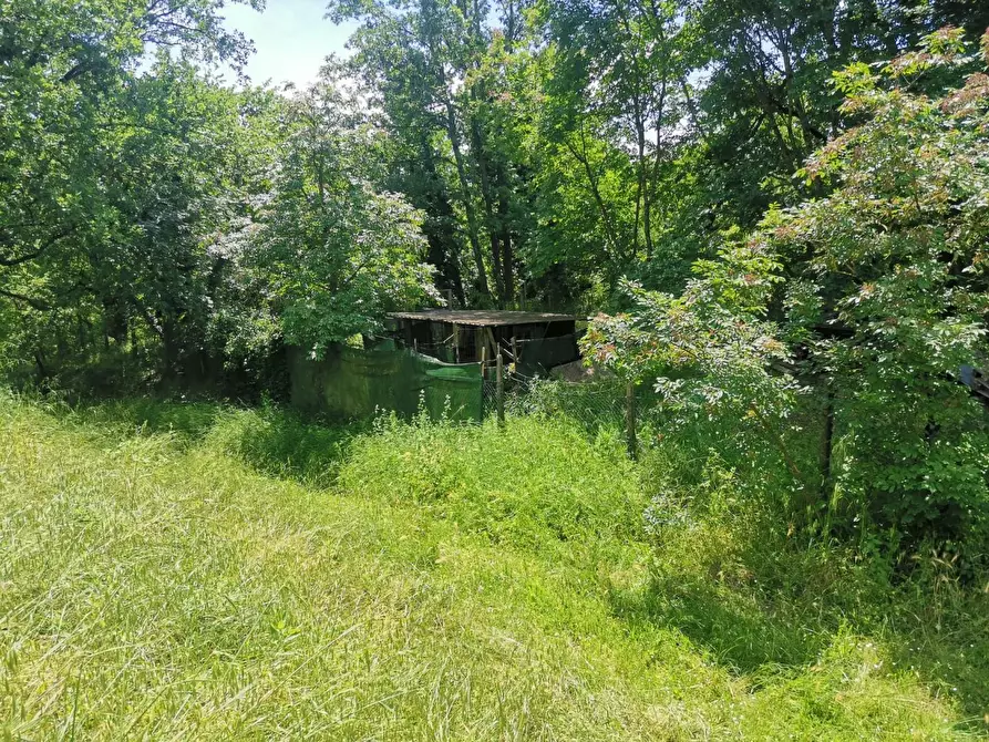 terreno agricolo in vendita a Colle di Val d'Elsa