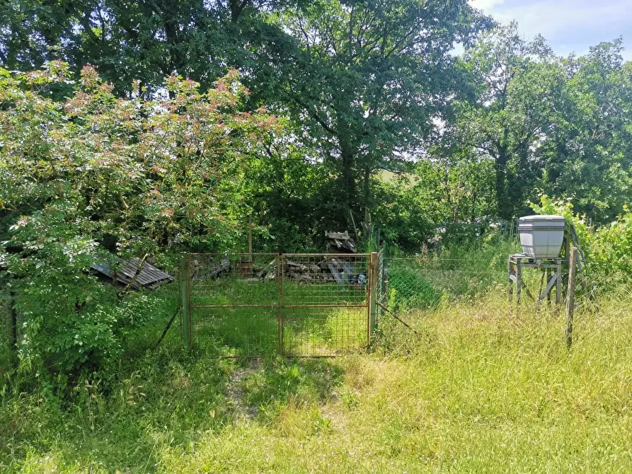 Immagine 11 di Terreno agricolo in vendita  a Colle Di Val D'elsa
