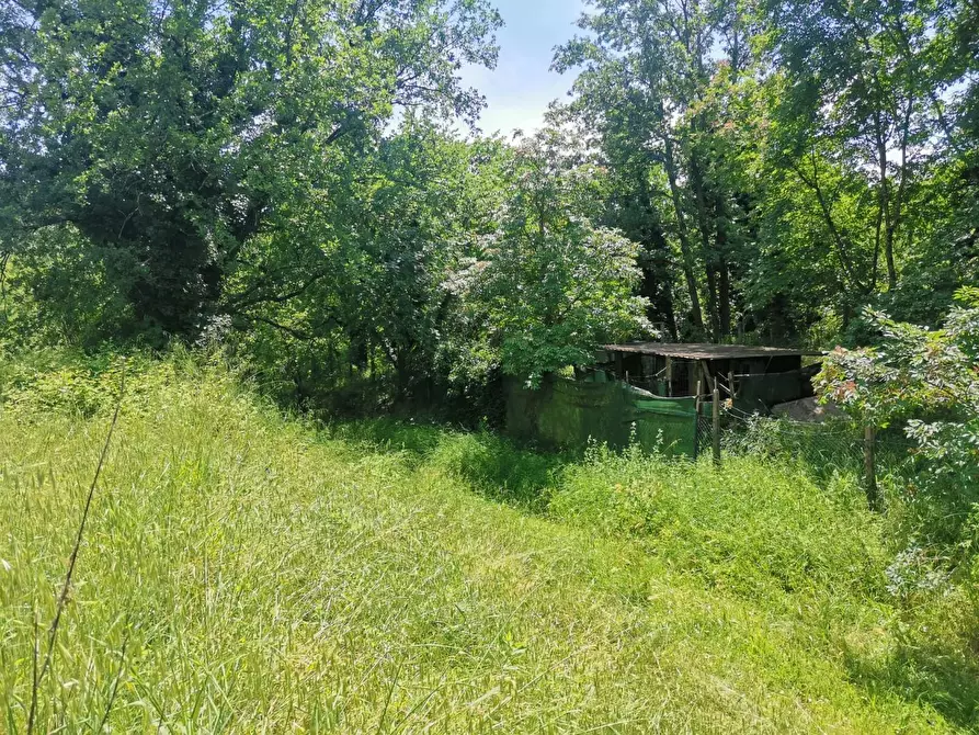 Immagine 2 di Terreno agricolo in vendita  a Colle Di Val D'elsa
