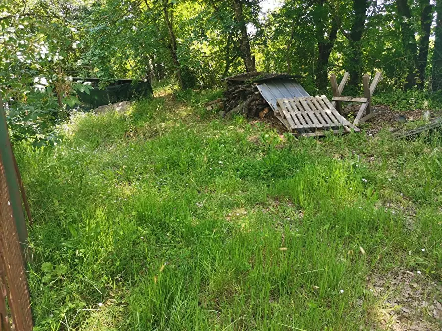 Immagine 13 di Terreno agricolo in vendita  a Colle Di Val D'elsa