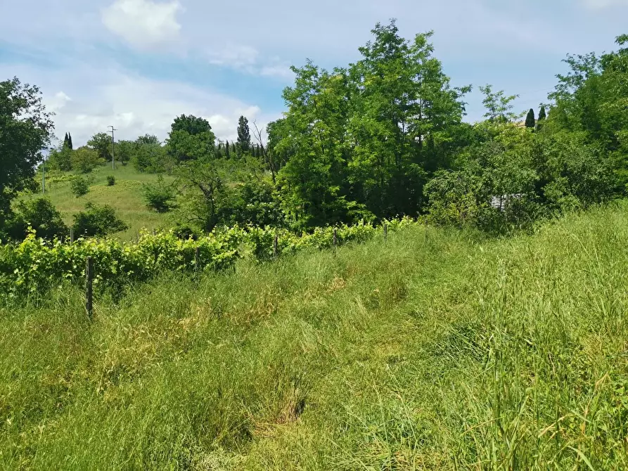 Immagine 5 di Terreno agricolo in vendita  a Colle Di Val D'elsa
