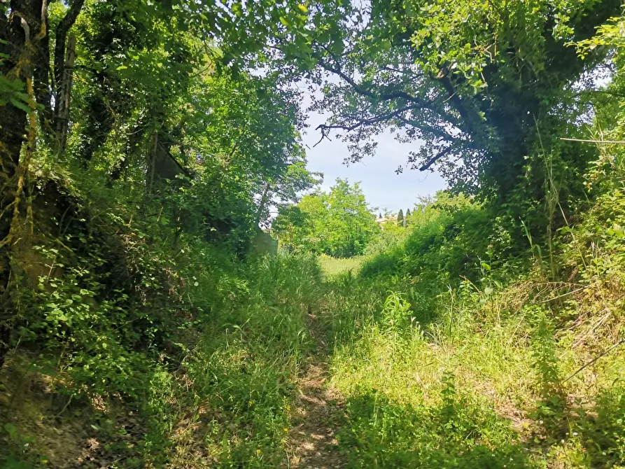 Immagine 7 di Terreno agricolo in vendita  a Colle Di Val D'elsa