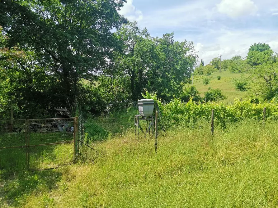 Immagine 4 di Terreno agricolo in vendita  a Colle Di Val D'elsa
