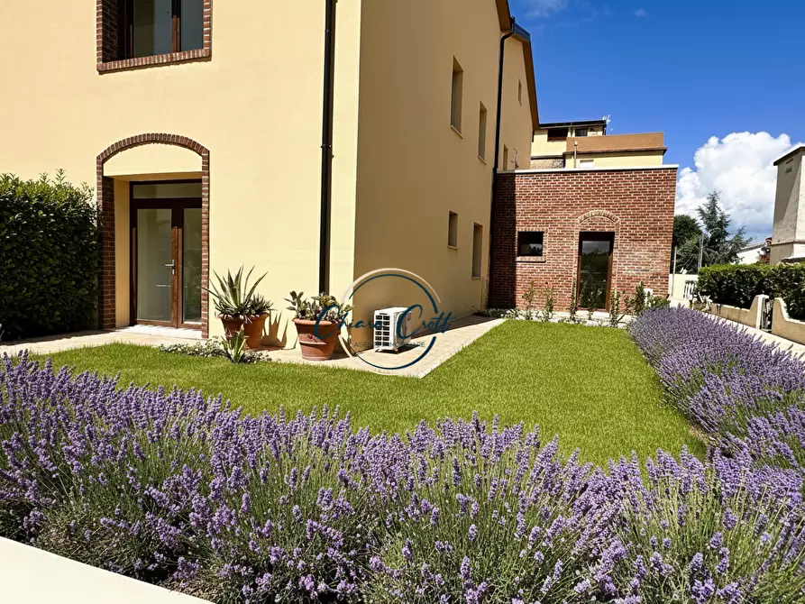 Immagine 4 di Appartamento in vendita  a Rosignano Marittimo