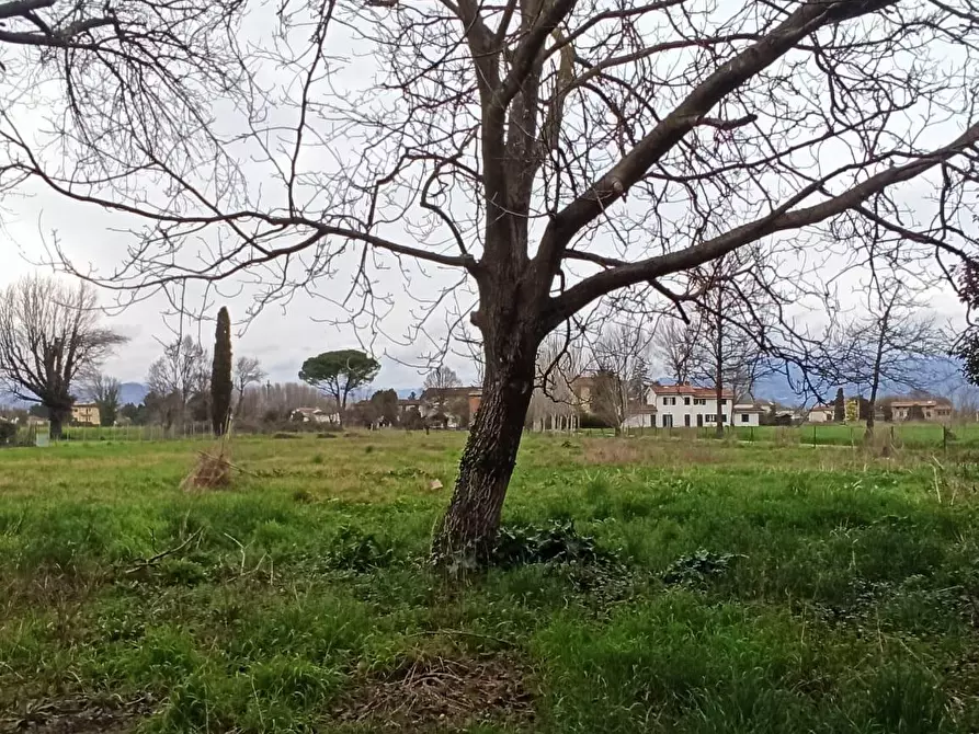 Immagine 31 di Villa in vendita  a Capannori