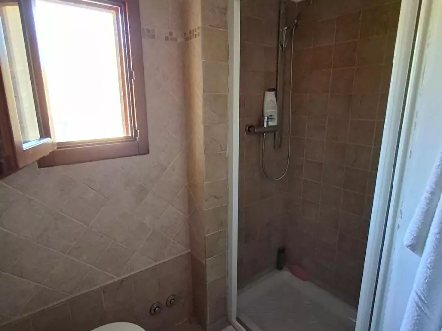 Immagine 30 di Casa colonica in vendita  a Vinci