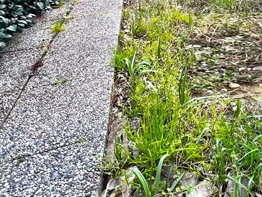 Immagine 31 di Appartamento in vendita  a Montelupo Fiorentino