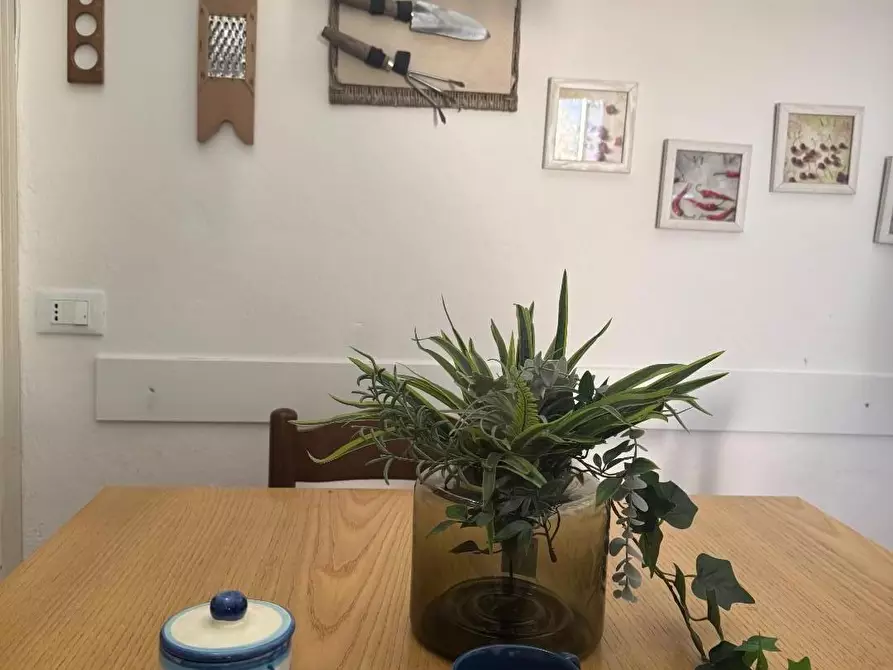 Immagine 12 di Villetta a schiera in vendita  a Viareggio