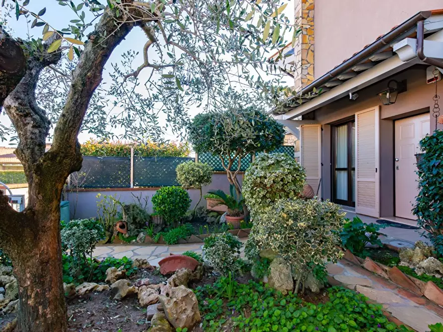 Immagine 39 di Appartamento in vendita  a Calcinaia