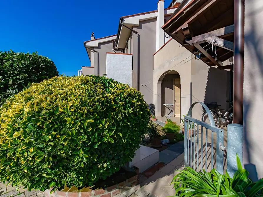 Immagine 35 di Appartamento in vendita  a Calcinaia