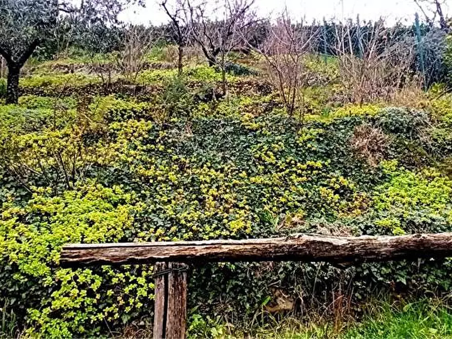 Immagine 6 di Villetta a schiera in vendita  a Pistoia