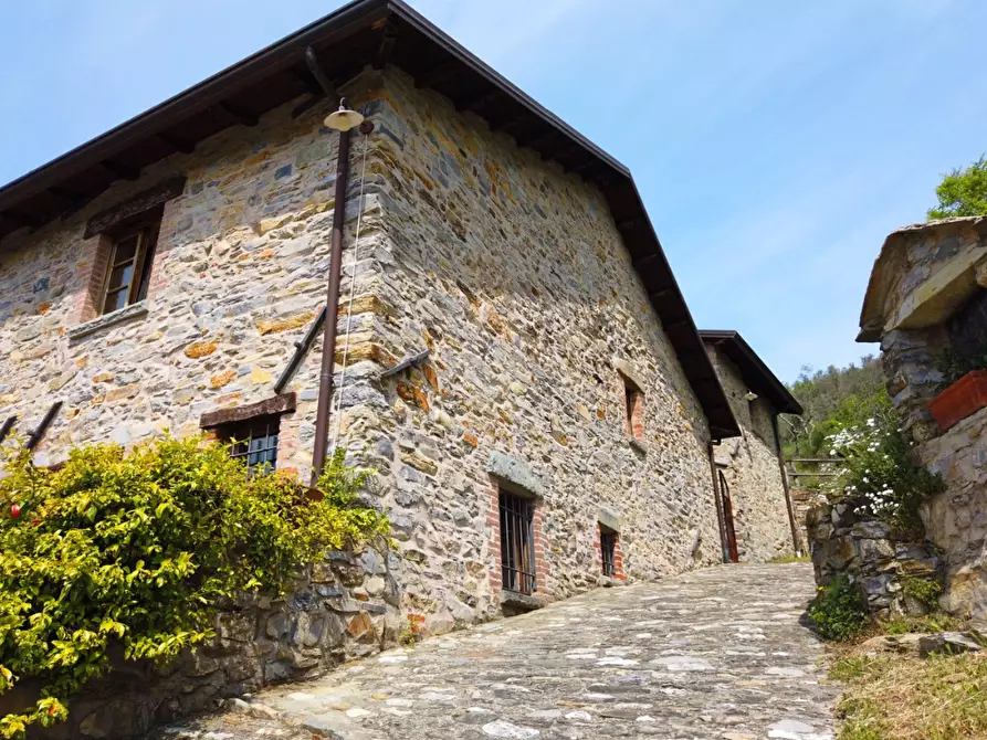 Immagine 8 di Casa colonica in vendita  a Fivizzano