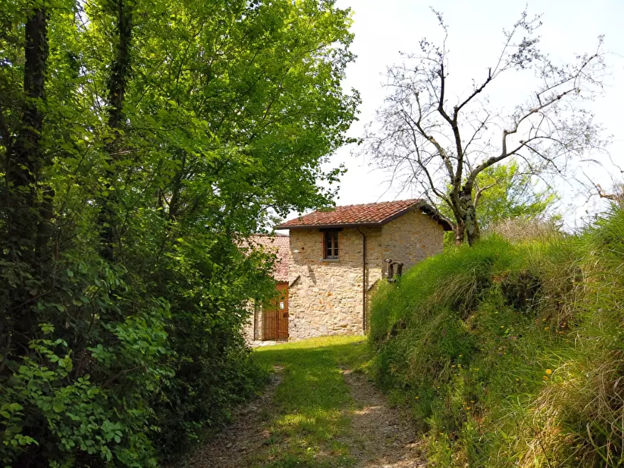 Immagine 10 di Casa colonica in vendita  a Fivizzano